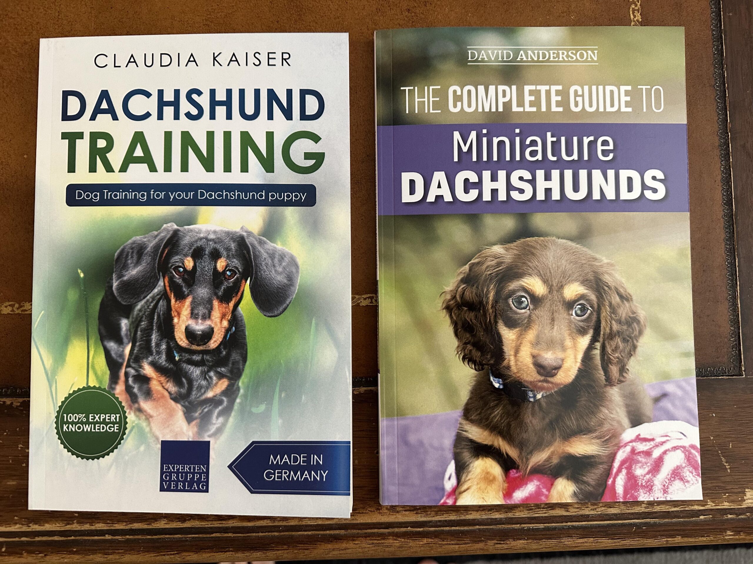 Ep8cwa06wkbe1 Scaled