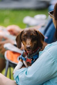 Pexels Photo 27001673 200x300