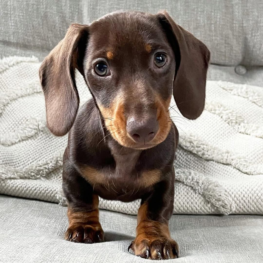 photo 2025 11 26 13.25.42