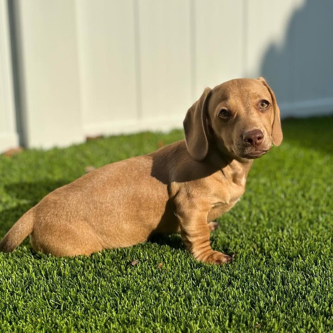 photo 2025 11 26 13.26.10