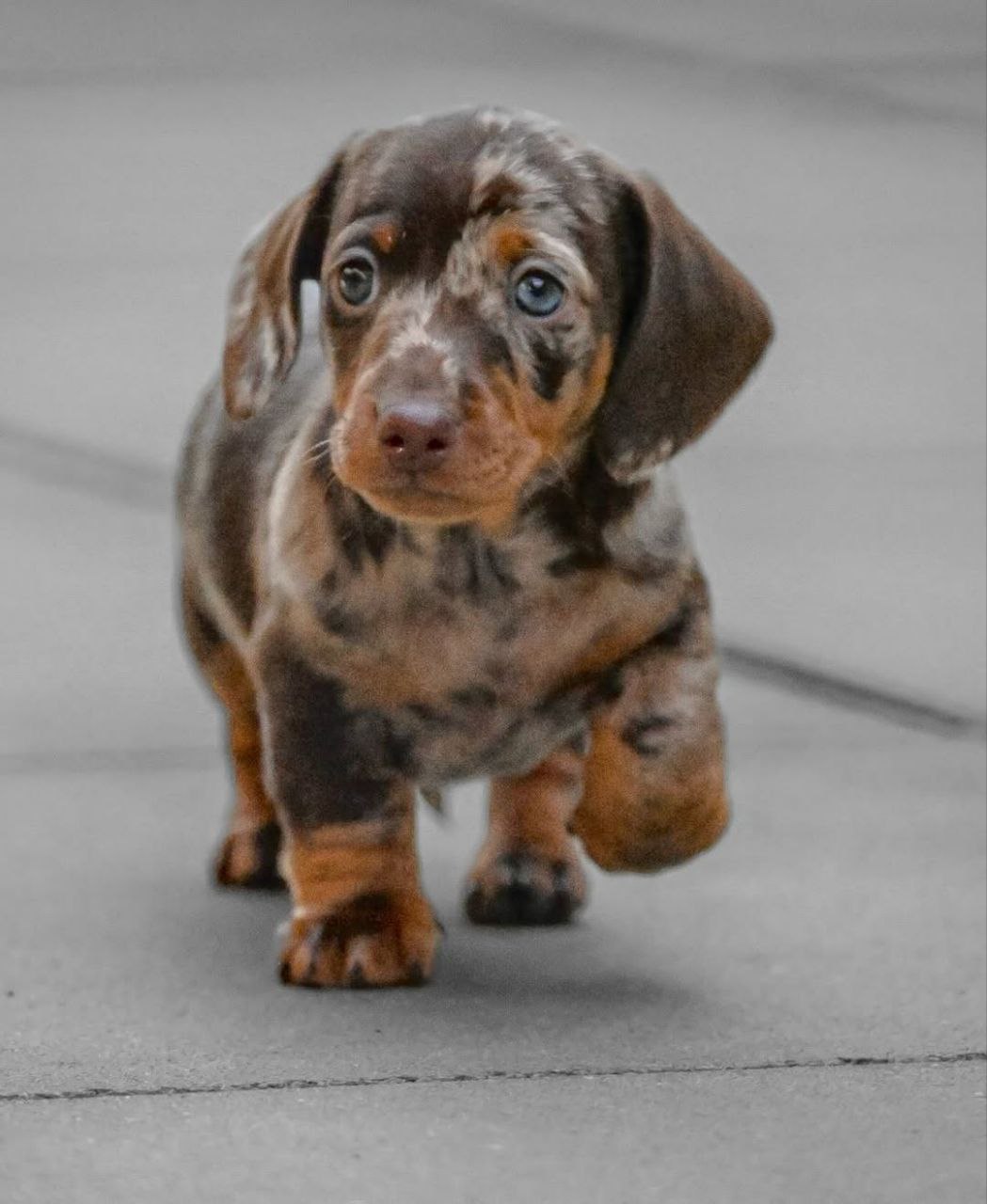 photo 2025 11 26 13.26.16