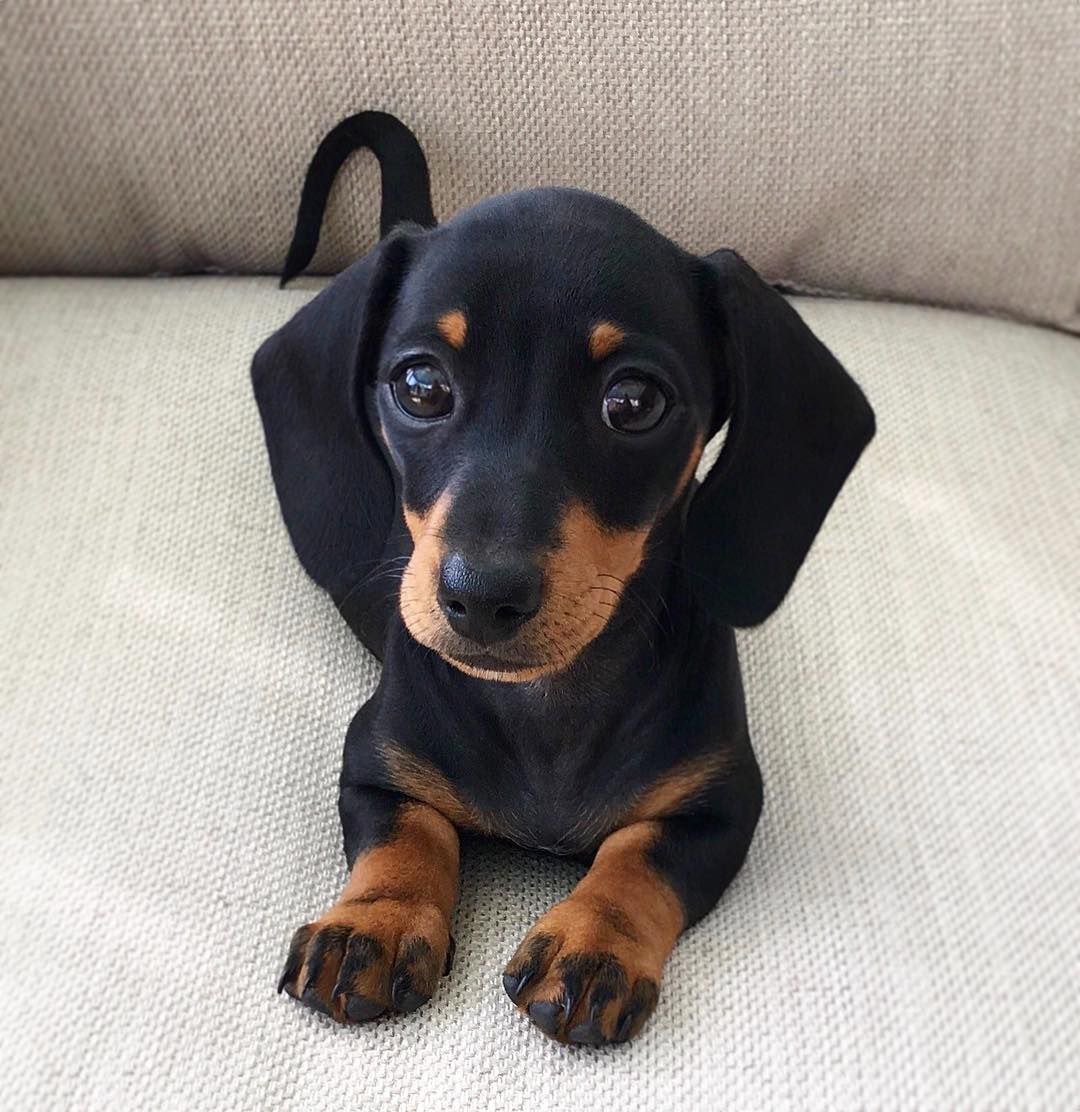 photo 2025 11 26 13.26.51