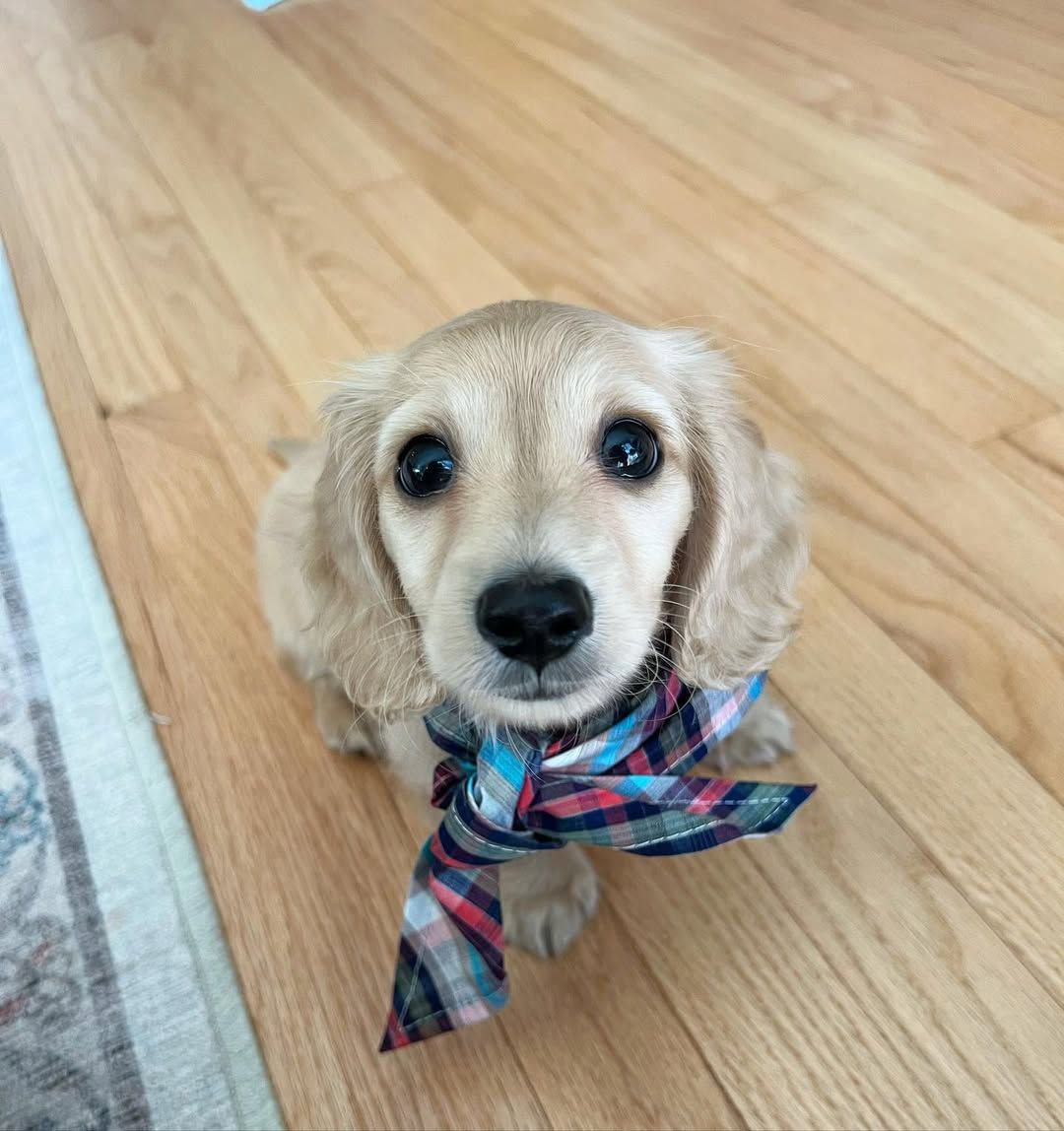 photo 2025 11 26 13.27.02