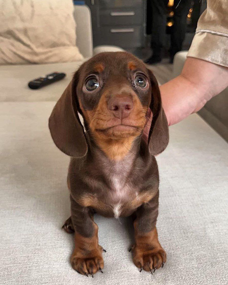 photo 2025 11 26 13.27.08